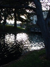 Click to see DSC00412.JPG