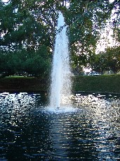 Click to see DSC00413.JPG