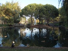 Click to see DSC00450.JPG