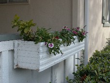 Click to see DSC00150.JPG