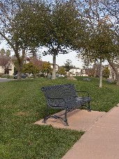 Click to see DSC00158.JPG