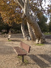 Click to see DSC00162.JPG