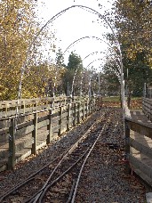 Click to see DSC00169.JPG