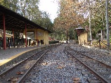 Click to see DSC00170.JPG