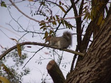 Click to see DSC00180.JPG