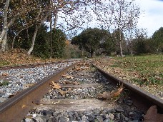 Click to see DSC00182.JPG