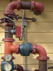 Click to see DSC00194.JPG