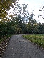 Click to see DSC00209.JPG