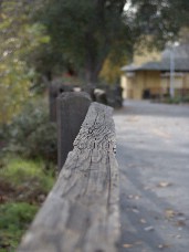 Click to see DSC00224.JPG