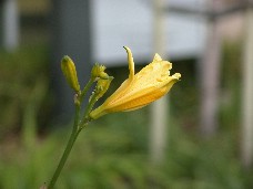 Click to see DSC00292.JPG