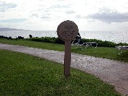 Click to see DSCN1110.JPG