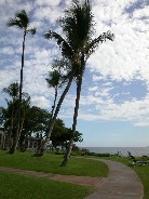 Click to see DSCN1111.JPG