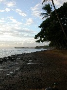 Click to see DSCN1186.JPG