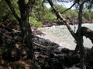 Click to see DSCN1245.JPG