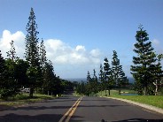 Click to see DSCN1263.JPG
