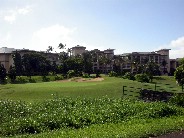 Click to see DSCN1265.JPG