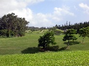Click to see DSCN1266.JPG