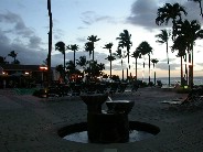 Click to see DSCN1293.JPG