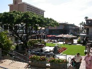 Click to see DSCN1380.JPG