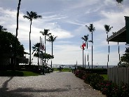 Click to see DSCN1392.JPG