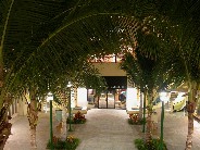 Click to see DSCN1436.JPG