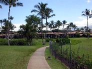 Click to see DSCN1459.JPG
