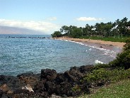 Click to see DSCN1461.JPG