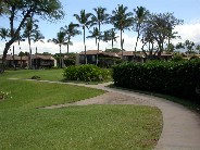 Click to see DSCN1466.JPG