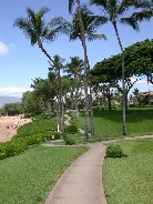 Click to see DSCN1473.JPG