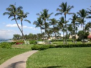 Click to see DSCN1480.JPG