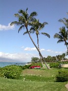 Click to see DSCN1484.JPG