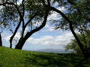 Click to see DSCN1485.JPG