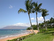 Click to see DSCN1508.JPG