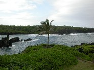 Click to see DSCN1561.JPG