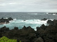 Click to see DSCN1571.JPG