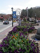 Click to see DSCN3355.jpg