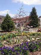 Click to see DSCN3366.jpg