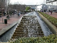 Click to see DSCN3405.jpg