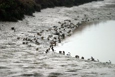 Click to see IMG_5014.JPG