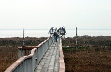 Click to see IMG_5018.JPG