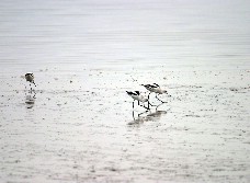 Click to see IMG_5068.JPG