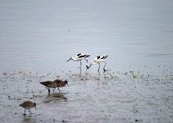 Click to see IMG_5100.JPG