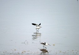 Click to see IMG_5105.JPG