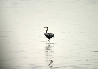 Click to see IMG_5140.JPG