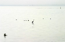 Click to see IMG_5173.JPG