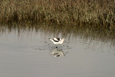 Click to see IMG_5189.JPG