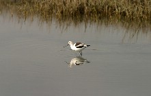 Click to see IMG_5195.JPG