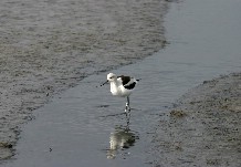 Click to see IMG_5214.JPG