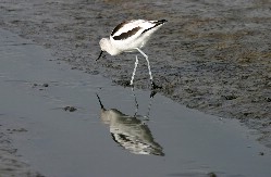 Click to see IMG_5228.JPG