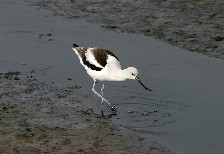 Click to see IMG_5245.JPG